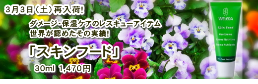 ���F���_�@�X�L���t�[�h