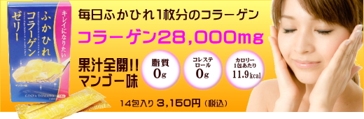 �ӂ��Ђ�R���[�Q���[���[