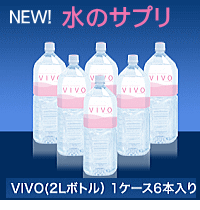 VIVO ヴィボ　２Ｌサイズ